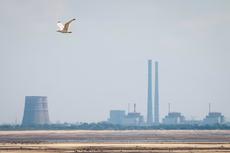 A view shows Zaporizhzhia Nuclear Power Plant in Dnipropetrovsk region