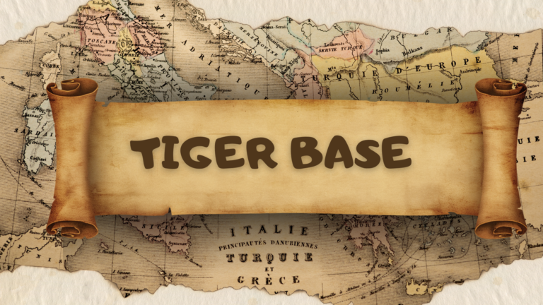 Inside the Tiger Base Controversy: Nigeria’s Anti-Kidnapping Unit Under Scrutiny